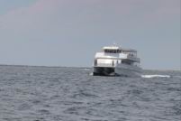 2018 ECPR the BIG ONE (197).jpg